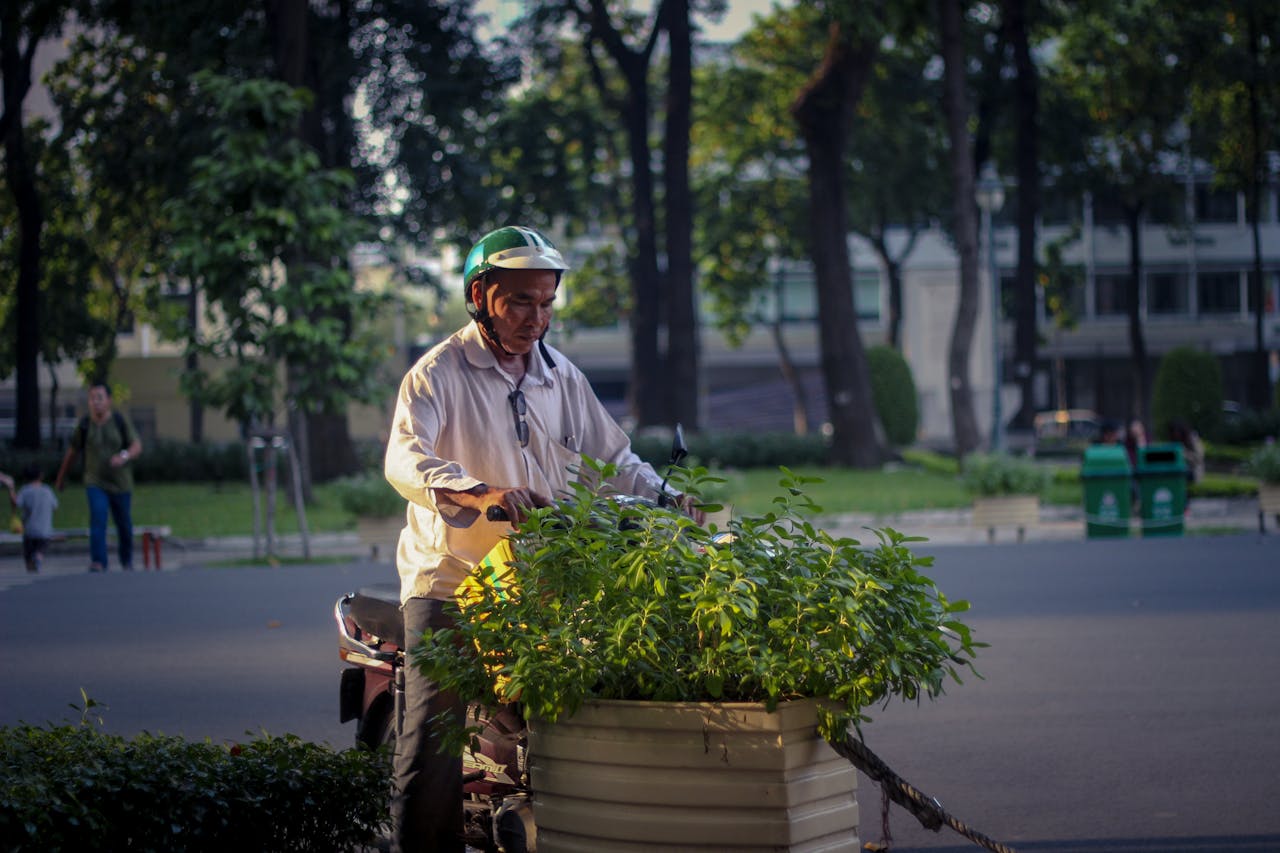 Man wearing helmet tending plants on motorcycle in urban park setting.